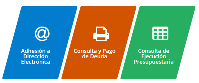 Consulta, Impresion de Cedulon y Pago de Deuda 